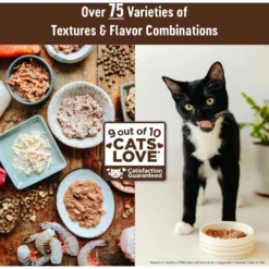 Wellness CORE Digestive Health Chicken & Turkey Pate Variety Pack Grain-Free Wet Cat Food 13 Wellness CORE Digestive Health Chicken & Turkey Pate Variety Pack Grain-Free Wet Cat Food -Furry Feast 264904 PT6. AC SS1800 V1640204804