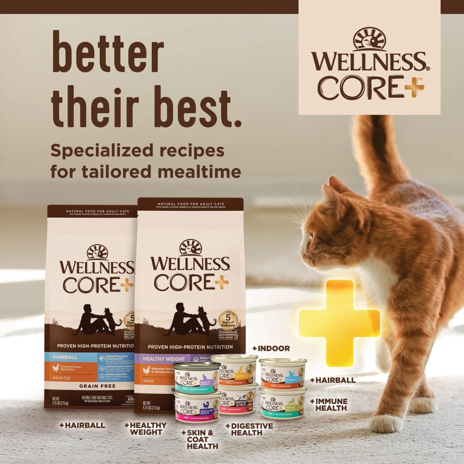Wellness CORE Digestive Health Chicken & Turkey Pate Variety Pack Grain-Free Wet Cat Food 7 Wellness CORE Digestive Health Chicken & Turkey Pate Variety Pack Grain-Free Wet Cat Food - Image 7