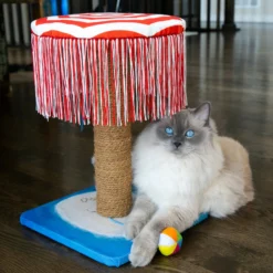 KONG Play Spaces CATbana Cat Toy -Furry Feast 265159 PT2. AC SS1800 V1611786680