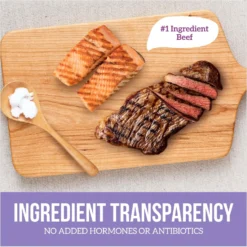 Health Extension Beef & Salmon Grain-Free Wet Cat Food, 2.8-oz Can, Case Of 24 -Furry Feast 265821 PT8. AC SS1800 V1693245454