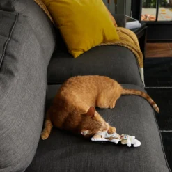 Frisco Halloween Good Witch, Bad Witch Reversible Plush Cat Toy With Catnip -Furry Feast 270301 PT3. AC SS1800 V1624824841