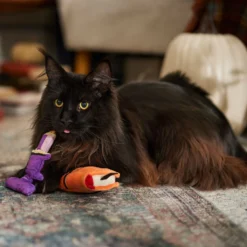 Frisco Halloween Enchanted Book & Candle Plush Cat Toy With Catnip, 2 Count -Furry Feast 270321 PT3. AC SS1800 V1689878926