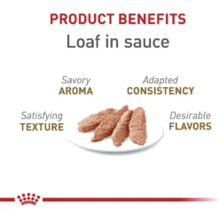 Royal Canin Feline Health Nutrition Aging 12+ Loaf In Sauce Canned Cat Food -Furry Feast 272682 PT2. AC SS1800 V1697733666