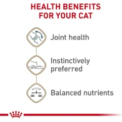 Royal Canin Feline Health Nutrition Aging 12+ Loaf In Sauce Canned Cat Food -Furry Feast 272682 PT3. AC SS1800 V1697759567