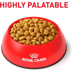 Royal Canin Veterinary Diet Adult Renal Support Early Consult Dry Cat Food -Furry Feast 278911 PT2. AC SS1800 V1701881831