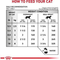Royal Canin Veterinary Diet Adult Renal Support Early Consult Loaf In Sauce Canned Cat Food -Furry Feast 278913 PT5. AC SS1800 V1701882070
