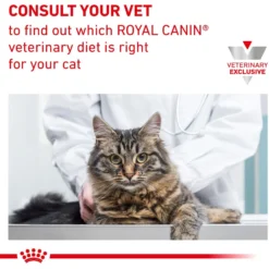 Royal Canin Veterinary Diet Adult Renal Support Early Consult Loaf In Sauce Canned Cat Food -Furry Feast 278913 PT8. AC SS1800 V1701881225