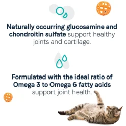 CANIDAE Goodness For Joints Real Salmon Adult Dry Cat Food -Furry Feast 279814 PT3. AC SS1800 V1615422808