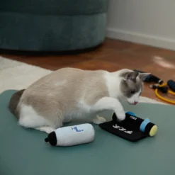 Frisco Yoga Mat & Water Bottle Plush Cat Toy With Catnip, 2 Count -Furry Feast 288955 PT3. AC SS1800 V1638289648