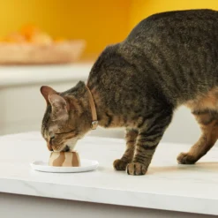 Meow Mix Tasty Layers Chicken & Turkey Recipe Stuffed With Real Chicken Swirled Paté Cat Food, 2.75-oz Can, Case Of 12 -Furry Feast 292098 PT5. AC SS1800 V1670621341