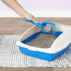 Iams ProActive Health Indoor Weight & Hairball Care Adult Dry Cat Food & Arm & Hammer Litter Slide Multi-Cat Scented Clumping Clay Cat Litter -Furry Feast 293248 PT6. AC SS1800 V1620245551