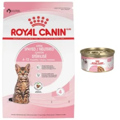 Royal Canin Feline Health Nutrition Kitten Spayed/Neutered Dry Cat Food & Royal Canin Feline Health Nutrition Thin Slices In Gravy Wet Kitten Food