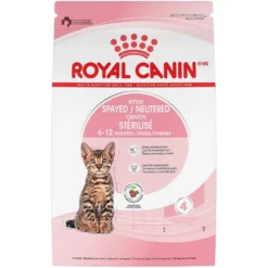 Royal Canin Feline Health Nutrition Kitten Spayed/Neutered Dry Cat Food & Royal Canin Feline Health Nutrition Thin Slices In Gravy Wet Kitten Food -Furry Feast 293766 PT5. AC SS1800 V1678973918