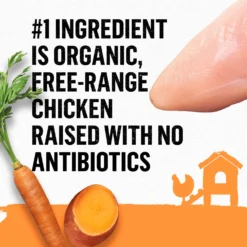 Purina Beyond Organic Chicken Variety Pack Pate Wet Cat Food, 3-oz Can, Case Of 6 -Furry Feast 297542 PT4. AC SS1800 V1700161837