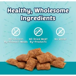 Blue Buffalo Wilderness Salmon Recipe Grain-Free Dry Cat Food & Blue Buffalo Bursts With Savory Seafood Cat Treats -Furry Feast 297856 PT6. AC SS1800 V1621303656
