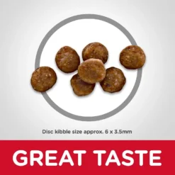 Hill's Science Diet Kitten Healthy Cuisine Tender Chicken & Rice Medley Canned Cat Food & Hill's Science Diet Indoor Kitten Dry Cat Food -Furry Feast 298098 PT6. AC SS1800 V1621287765