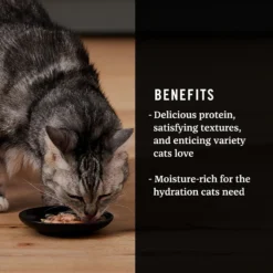 Tiki Cat Luau Velvet Mousse Variety Pack Grain-Free Wet Cat Food, 2.8-oz Pouch, Case Of 12 & American Journey Landmark Broths Tuna, Shrimp & Whitefish Recipe Wet Cat Food Complement Pouches, 1.4 Oz Case Of 16 -Furry Feast 298552 PT8. AC SS1800 V1701115717