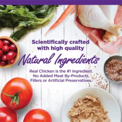 Wellness Complete Health Kitten Chicken Entree Recipe Natural Canned Cat Food & Wellness Complete Health Natural Grain-Free Deboned Chicken & Chicken Meal Dry Kitten Food -Furry Feast 298660 PT2. AC SS1800 V1621990640