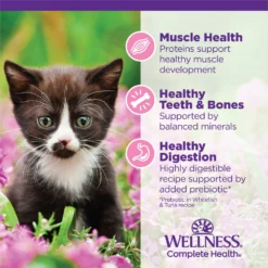 Wellness Complete Health Kitten Chicken Entree Recipe Natural Canned Cat Food & Wellness Complete Health Natural Grain-Free Deboned Chicken & Chicken Meal Dry Kitten Food -Furry Feast 298660 PT4. AC SS1800 V1621986187