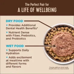 Wellness CORE Natural Grain-Free Turkey & Chicken Liver Pate Canned Kitten Food & Wellness CORE Grain-Free Salmon, Whitefish & Herring Pate Canned Kitten & Cat Food -Furry Feast 298714 PT7. AC SS1800 V1621985912