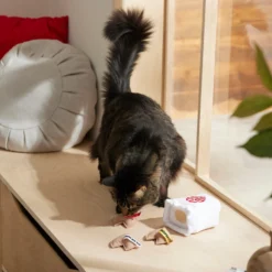 Frisco Lunar New Year Fortune Cookie Plush Cat Toy With Catnip -Furry Feast 298909 PT3. AC SS1800 V1640269104