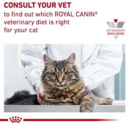 Royal Canin Veterinary Diet Adult Satiety Support Weight Management Loaf In Sauce Canned Cat Food -Furry Feast 299278 PT7. AC SS1800 V1676556641