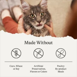 American Journey Indoor Cat Total Health Formula Chicken & Brown Rice Recipe Dry Cat Food, 15lb Bag -Furry Feast 299537 PT6. AC SS1800 V1680787062