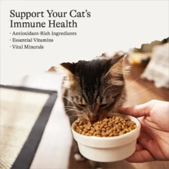 Furry Feast -Furry Feast 299542 PT1. AC SS1800 V1663687892