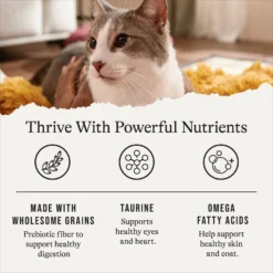 American Journey Sensitive Stomach Total Health Formula Chicken & Brown Rice Recipe Dry Cat Food, 15lb Bag -Furry Feast 299542 PT4. AC SS1800 V1668737455