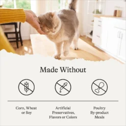 American Journey Sensitive Stomach Total Health Formula Chicken & Brown Rice Recipe Dry Cat Food, 15lb Bag -Furry Feast 299542 PT6. AC SS1800 V1680787131