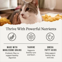 American Journey Sensitive Stomach Total Health Formula Salmon & Brown Rice Recipe Dry Cat Food, 15lb Bag -Furry Feast 299544 PT4. AC SS1800 V1668737455