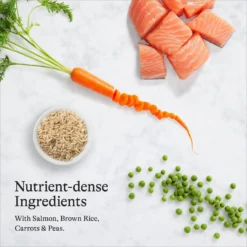 American Journey Sensitive Stomach Total Health Formula Salmon & Brown Rice Recipe Dry Cat Food, 15lb Bag -Furry Feast 299544 PT5. AC SS1800 V1680787100