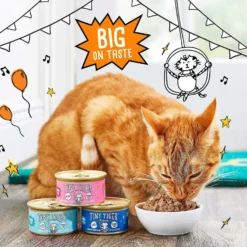 Tiny Tiger Chunks In EXTRA Gravy Seafood Recipes Variety Pack Grain-Free Canned Cat Food & Tiny Tiger Tuna Tidbits Flavor Filled Cat Treats -Furry Feast 303744 PT2. AC SS1800 V1623056859