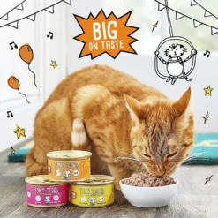 Tiny Tiger Pate Turkey & Giblets Recipe Grain-Free Canned Cat Food & Tiny Tiger Catnip Craze Flavor Filled Cat Treats -Furry Feast 303760 PT2. AC SS1800 V1623077864