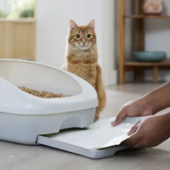 Frisco Cat Litter Pads, Scented -Furry Feast 309828 PT5. AC SS1800 V1675280050