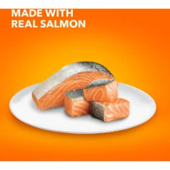 Iams ProActive Health Adult Indoor Weight & Hairball Care With Salmon Dry Cat Food -Furry Feast 311438 PT3. AC SS1800 V1677256424