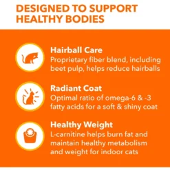 Iams ProActive Health Adult Indoor Weight & Hairball Care With Salmon Dry Cat Food -Furry Feast 311438 PT4. AC SS1800 V1677256422