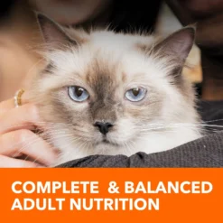 Iams ProActive Health Adult Indoor Weight & Hairball Care With Salmon Dry Cat Food -Furry Feast 311438 PT7. AC SS1800 V1677256362