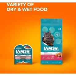 Iams ProActive Health Adult Indoor Weight & Hairball Care With Salmon Dry Cat Food -Furry Feast 311438 PT8. AC SS1800 V1677256392