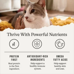 American Journey Senior Pate Chicken Recipe Canned Cat Food, 3-oz Can, Case Of 24 -Furry Feast 330851 PT5. AC SS1800 V1691614423