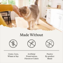 American Journey Senior Pate Chicken Recipe Canned Cat Food, 3-oz Can, Case Of 24 -Furry Feast 330851 PT7. AC SS1800 V1691614425