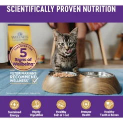 Wellness Complete Health Kitten Whitefish & Tuna Formula Grain-Free Canned Cat Food, Case Of 24 -Furry Feast 333297 PT4. AC SS1800 V1690904561