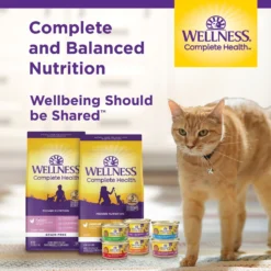 Wellness Complete Health Kitten Whitefish & Tuna Formula Grain-Free Canned Cat Food, Case Of 24 -Furry Feast 333297 PT7. AC SS1800 V1690904614