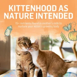 Purina Beyond Chicken & Oatmeal Recipe Dry Kitten Food -Furry Feast 336842 PT5. AC SS1800 V1700156624