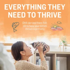 Purina Beyond Chicken & Oatmeal Recipe Dry Kitten Food -Furry Feast 336842 PT6. AC SS1800 V1700156424