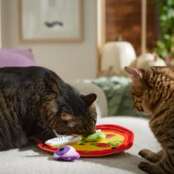 Frisco Halloween Spooky Pizza Interactive Plush Cat Toy With Catnip -Furry Feast 344066 PT3. AC SS1800 V1657657031