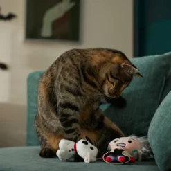 Disney Halloween Villains Cruella De Vil & Dalmatian Plush Cat Toy With Catnip, 2 Count 5 Disney Halloween Villains Cruella De Vil & Dalmatian Plush Cat Toy With Catnip, 2 Count -Furry Feast 344515 PT3. AC SS1800 V1657657087