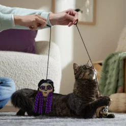 Pixar Coco Bouncy Teaser Cat Toy With Catnip -Furry Feast 344541 PT3. AC SS1800 V1657657088