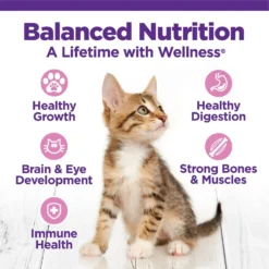 Wellness Complete Health Kitten Deboned Chicken, Chicken Meal & Rice Dry Cat Food, 5-lb Bag -Furry Feast 347667 PT3. AC SS1800 V1638466048
