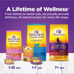 Wellness Complete Health Kitten Deboned Chicken, Chicken Meal & Rice Dry Cat Food, 5-lb Bag -Furry Feast 347667 PT6. AC SS1800 V1638467361